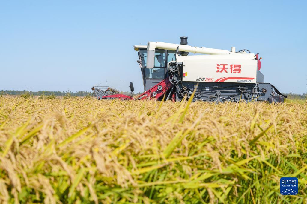 菲律宾金盛隆集团